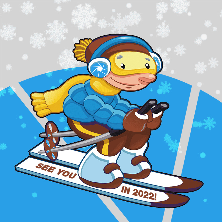 ski